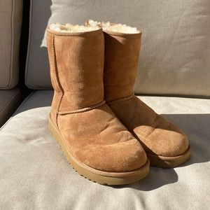 UGG- Classic Short || Boot Chestnut